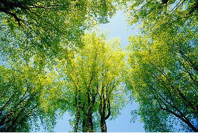 蛰伏五年，重回巅峰！经典动作对战网游《王牌对决》6.24登陆Steam